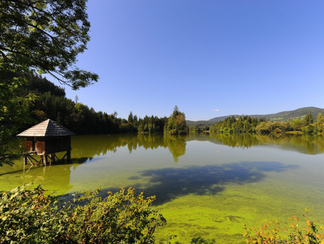 Moosburg_Mitterteich_mit_Arnulffeste_12092010_92